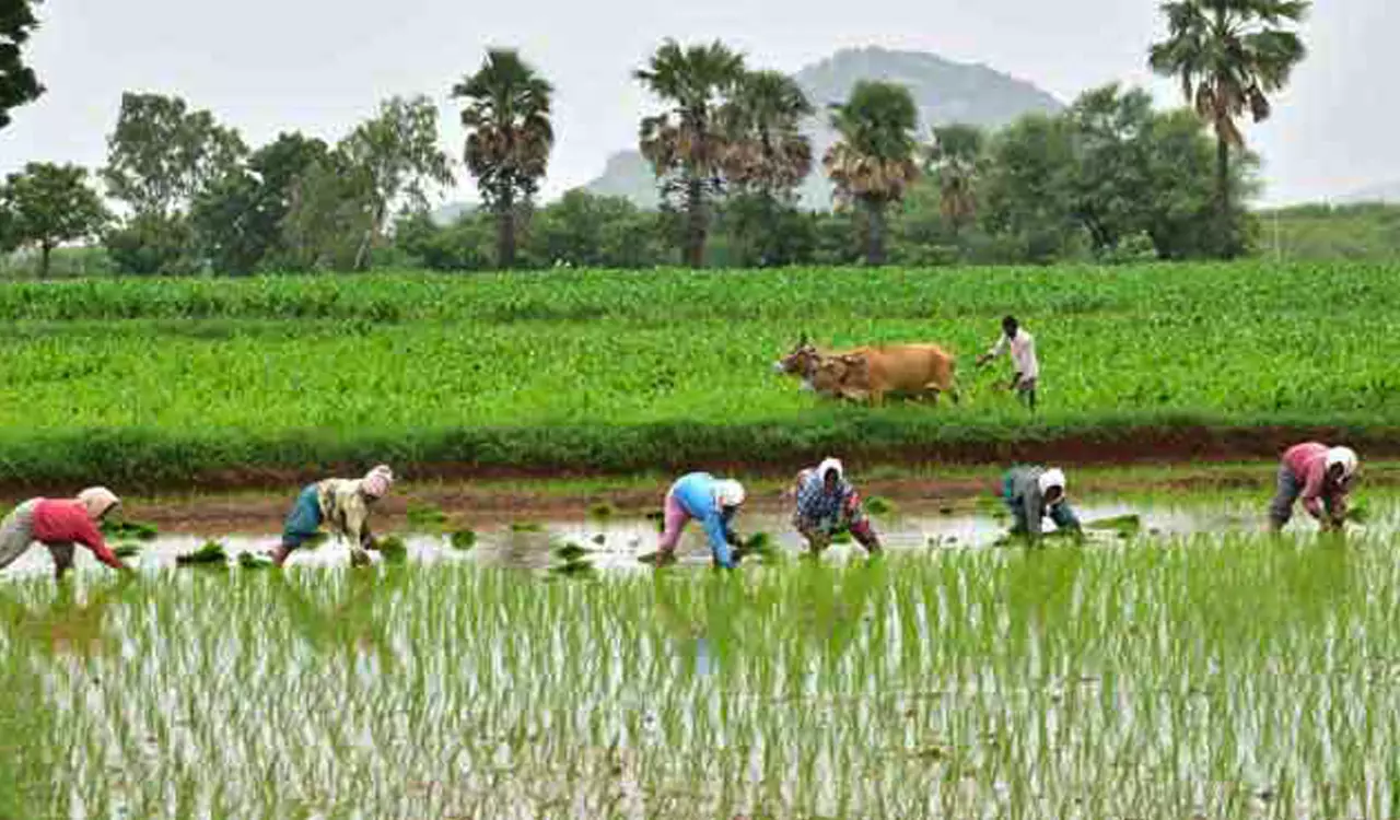 How Indo-Israeli Tech is Rewriting India’s Agricultural Future