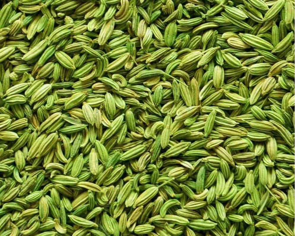 ‘Gujarat secured Cumin, Fennel GI tags via misleading claims’, say Rajasthan farmers seeking revocation