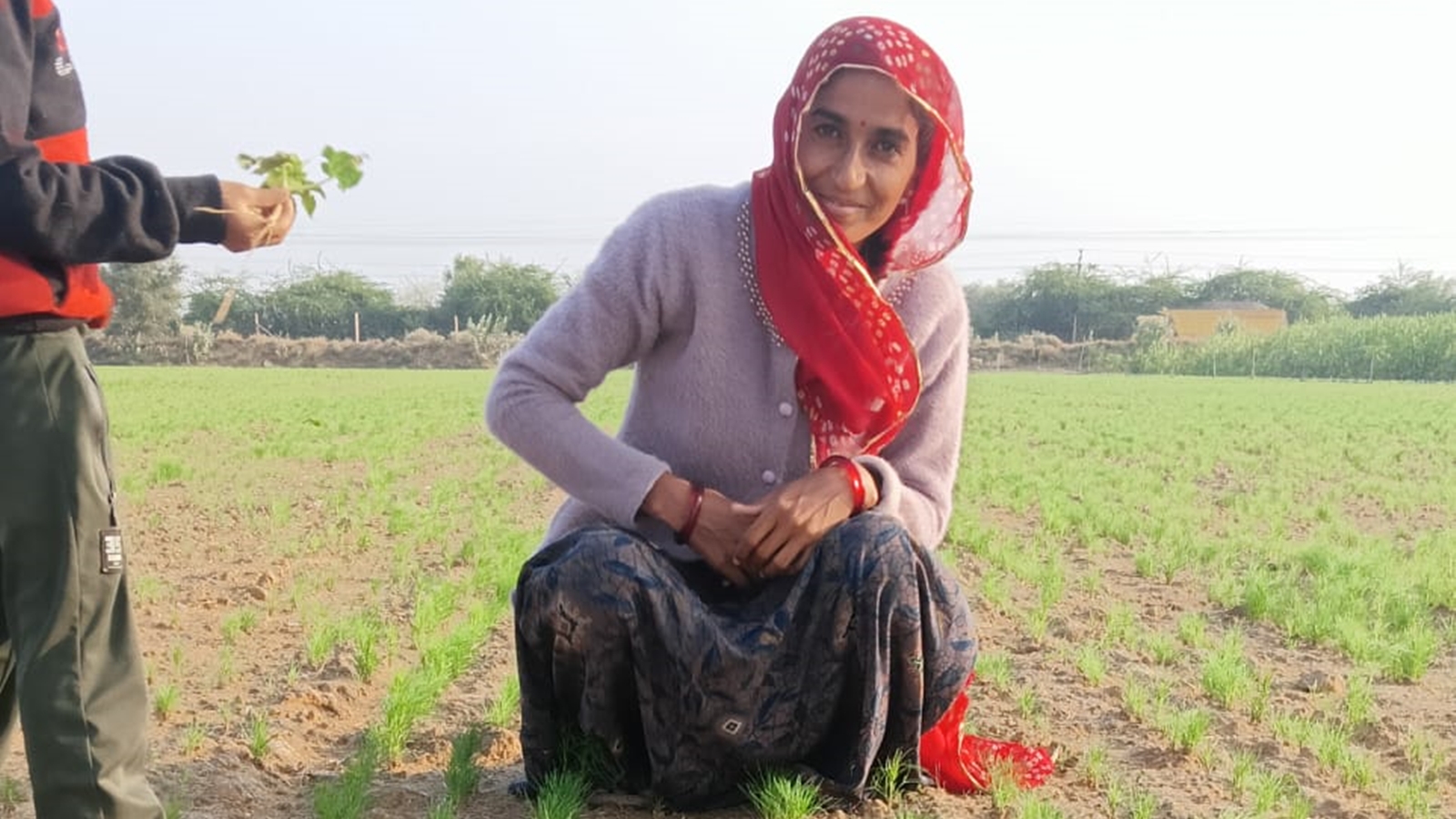 Rajasthan farmers object to GI on Unjha jeera and saunf