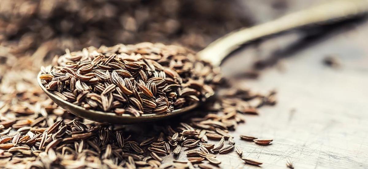 Gujarat’s Unjha cumin and fennel receive GI tag