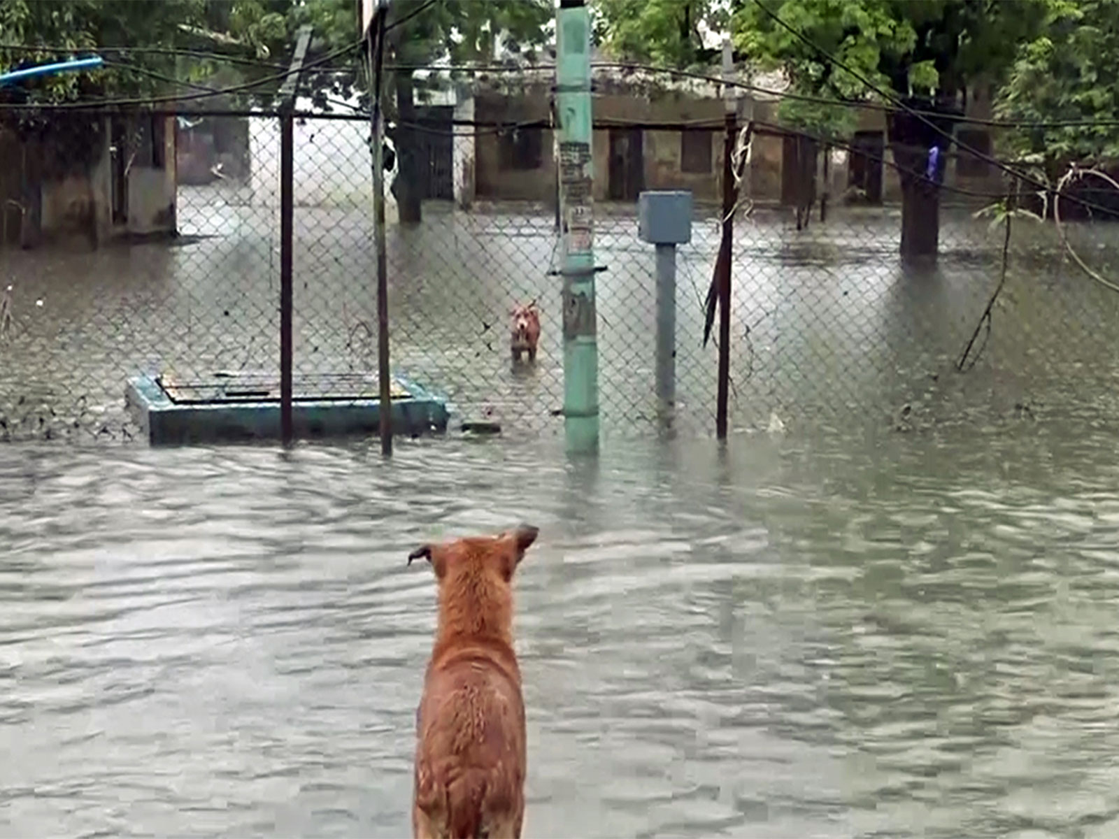 Gujarat health department maintains 24×7 readiness amid heavy monsoon rainfall