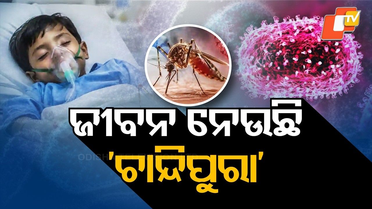 ચાંદીપુરા વાયરસે ગુજરાતમાં 22 બાળકોનો દાવો કર્યો, આરોગ્ય વિભાગ હાઈ એલર્ટ પર