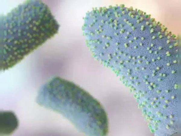 Gujarat reports 12 Chandipura virus cases, eight deaths; state steps up surveillance
