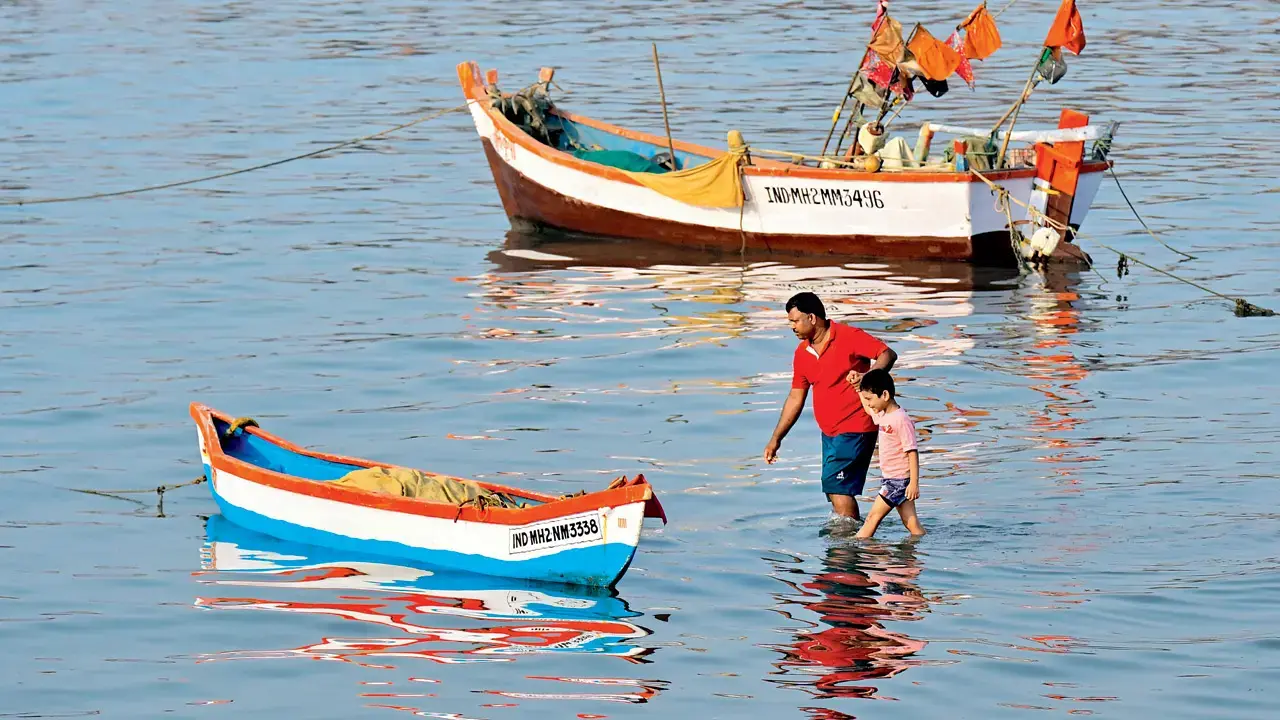 Maharashtra traditional fishermen seek probe into Joint Fisheries Commissioner