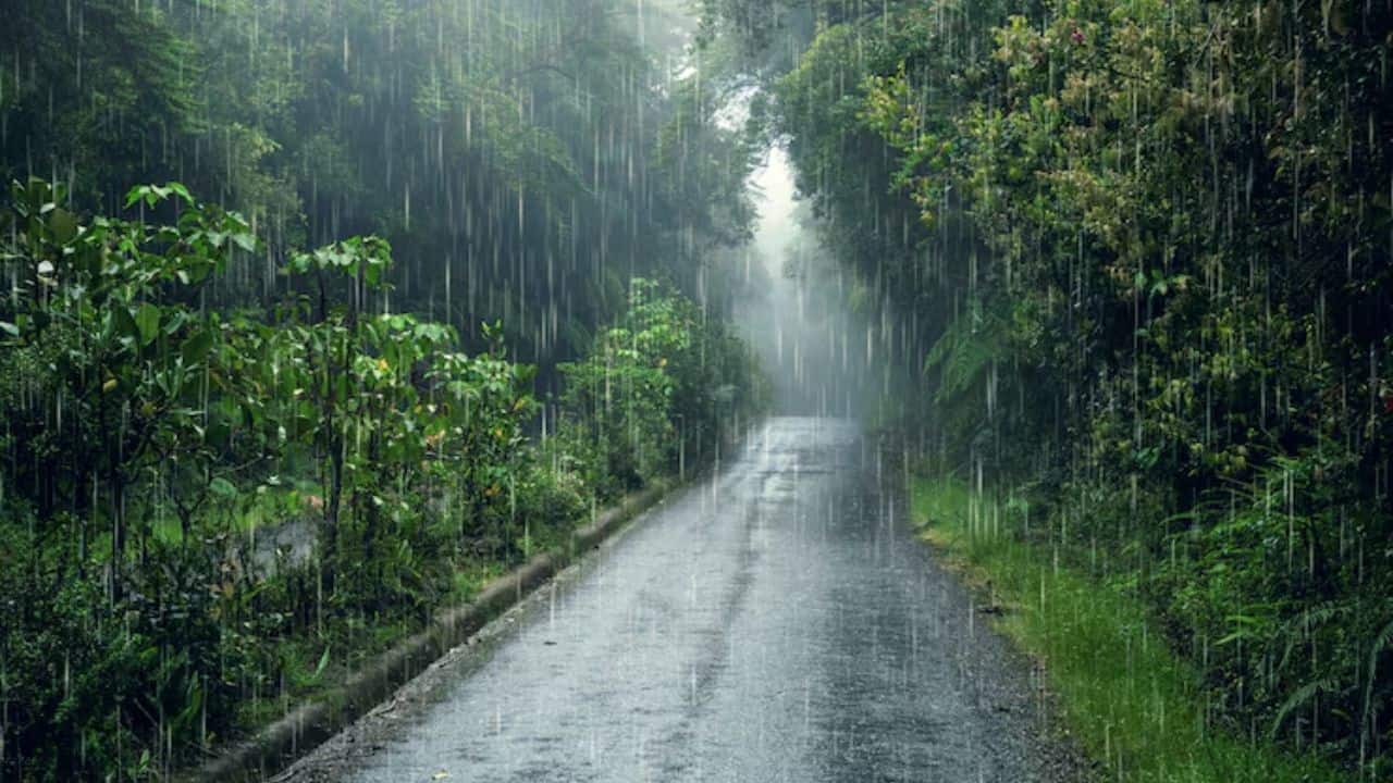 Monsoon gains strength: Heavy rain likely in North, Northeast; Delhi weather to remain pleasant