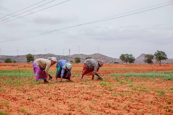Kharif Sowing Slows As Weak Monsoon Delays Planting Across Rain-Fed Regions