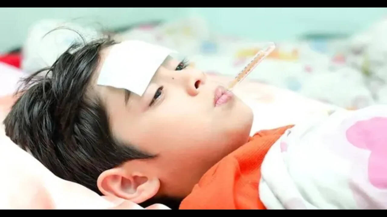 What is Chandipura virus? As child deaths raise concern, doctor explains how it spreads, early warning signs, and ways to stay protected