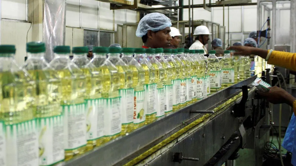 India’s oilseeds acreage rises 3% on good rains, may attain Centre’s coverage target