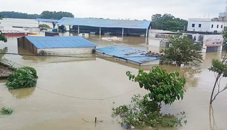 Centre Releases Rs 500 Cr Advance SDRF Assistance To Odisha Amid Flood Crisis
