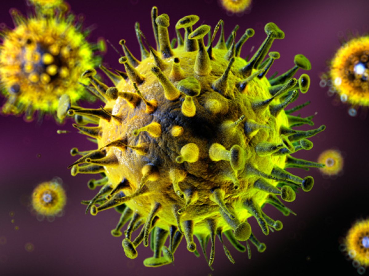 What Is Chandipura Virus? Gujarat Reports 3 Child Deaths, 4 Critical; Know Its Causes, Symptoms, Prevention And More