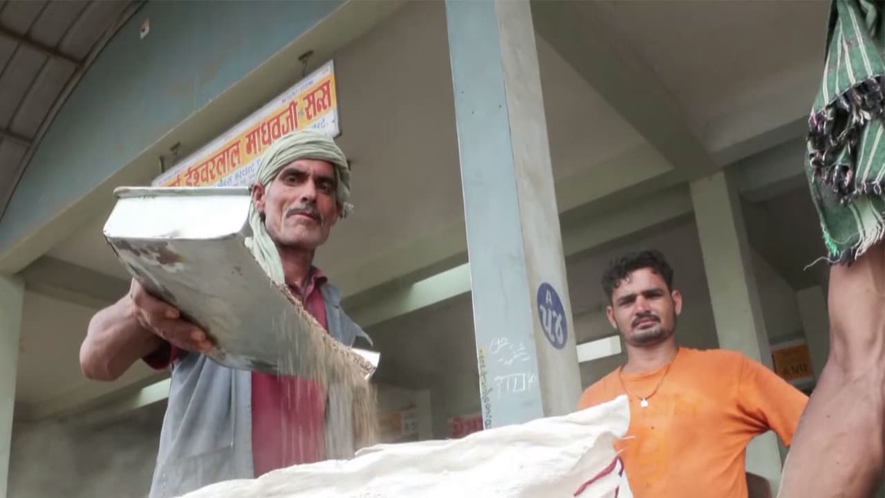 गुजरात के उंझा जीरा, सौंफ़ को प्रतिष्ठित भौगोलिक संकेत टैग मिला