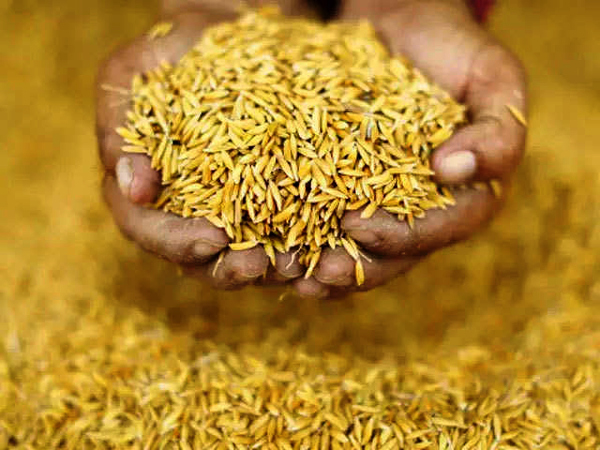 World’s Largest Grain Storage Plan in the Cooperative Sector