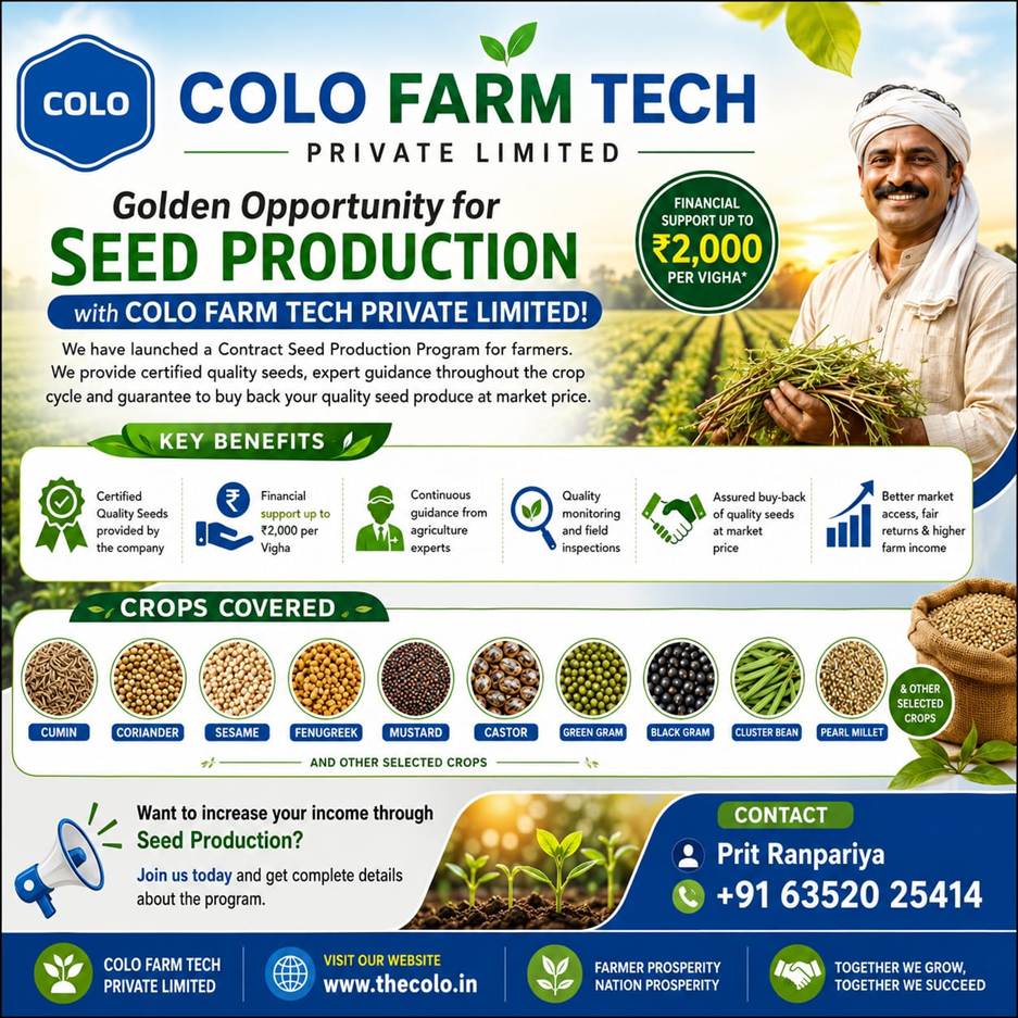 Contract Seed Production Scheme Offers Technical Guidance and Up to ₹2,000 Per Vigha Assistance