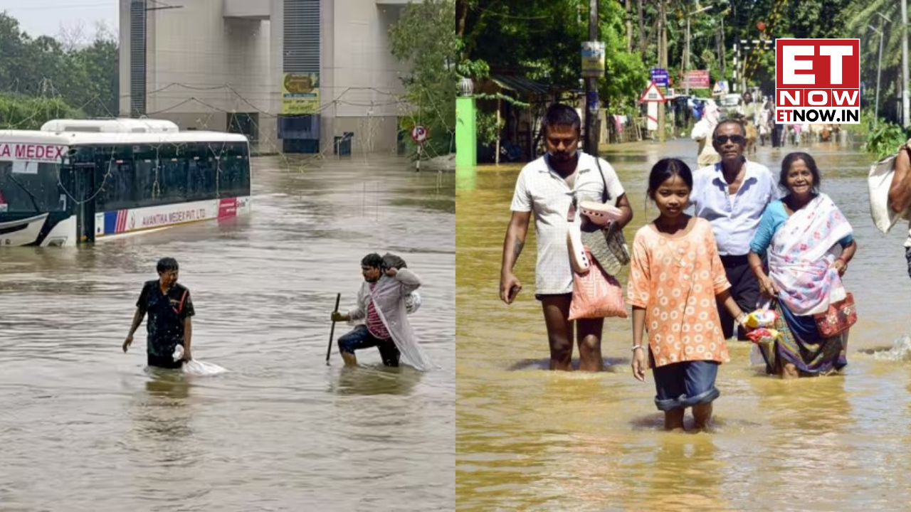 Why Assam and Gujarat are facing devastating floods again: Here's what's behind the crisis | Explained