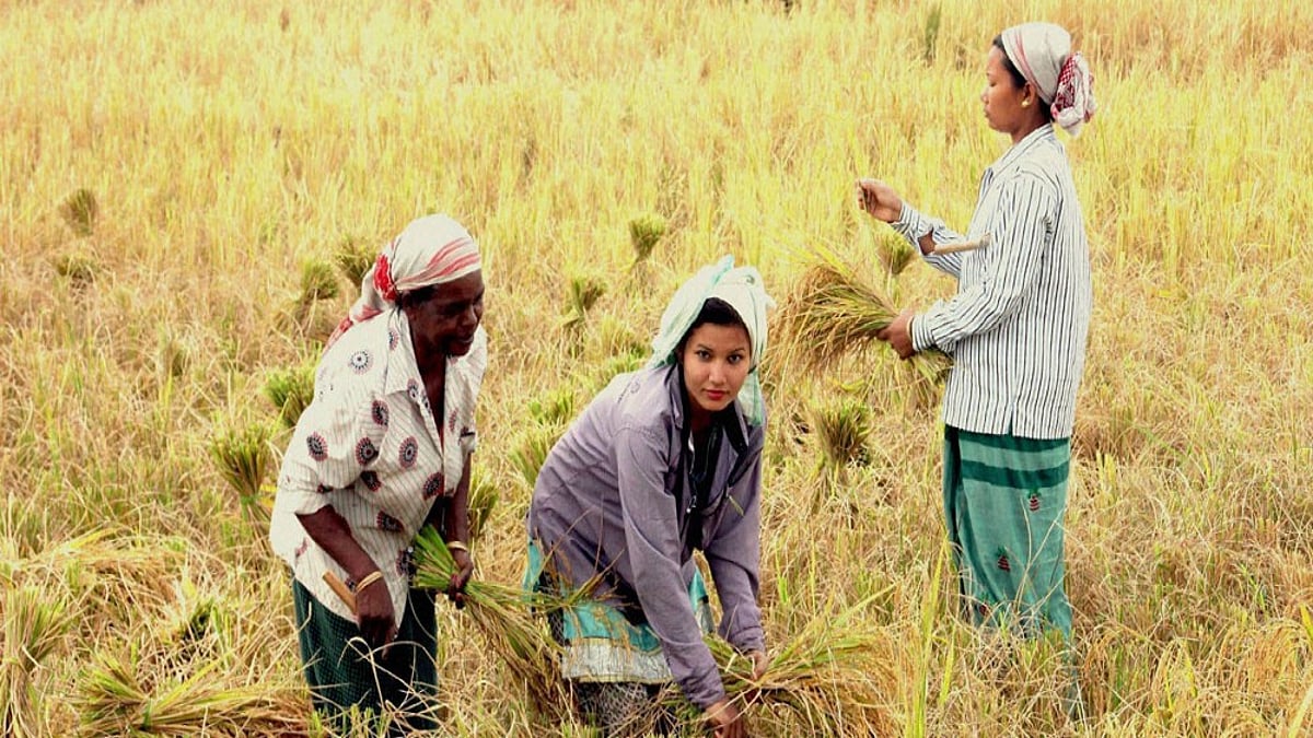 Kharif Sowing trails last year’s pace despite monsoon improvement