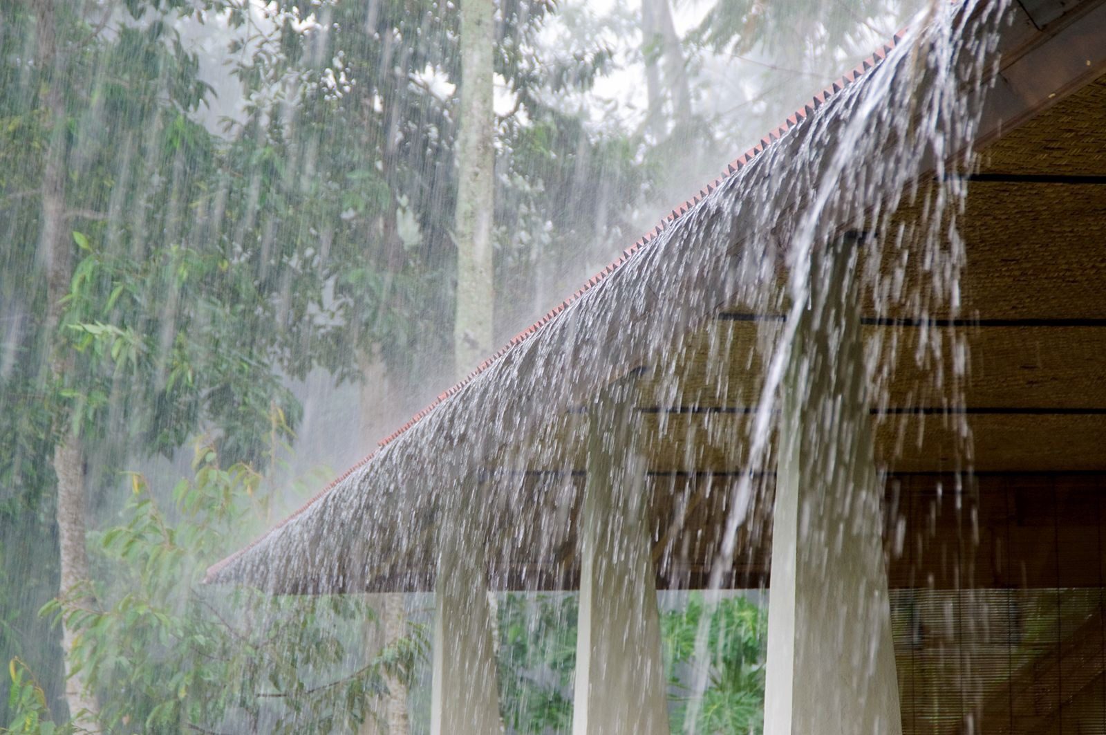 Heavy Rain Alert: Heavy rain expected in these states for the next 7 days! IMD releases weather update