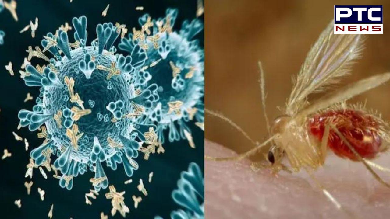 Chandipura virus outbreak: 22 children die of virus in Gujarat, seven under treatment; 35 confirmed cases
