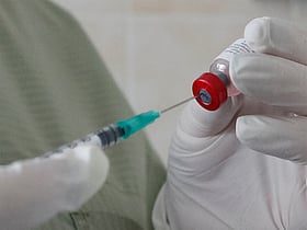 Centre deploys joint outbreak team as Chandipura virus spreads in Gujarat, Rajasthan