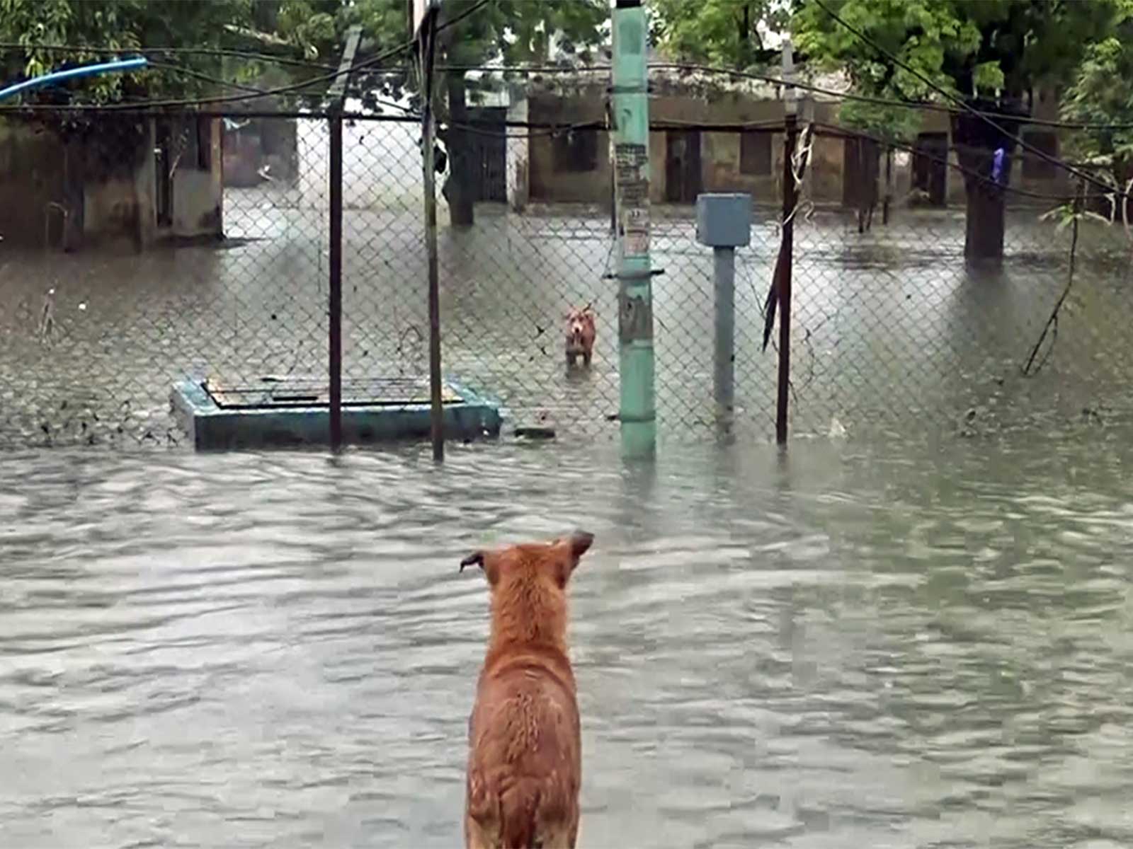 Heavy rains prompt alerts in Gujarat, Himachal, Assam, and Uttarakhand amid flood concerns