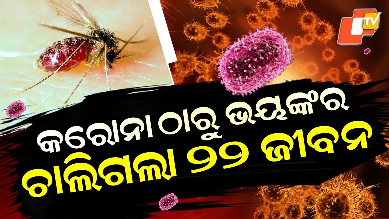 Special Story: Chandipura Virus Claims 22 Children in Gujarat, State on High Alert Amid Rising Cases
