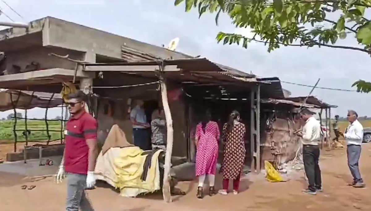 Chandipura virus outbreaks explained: Why children are most at risk