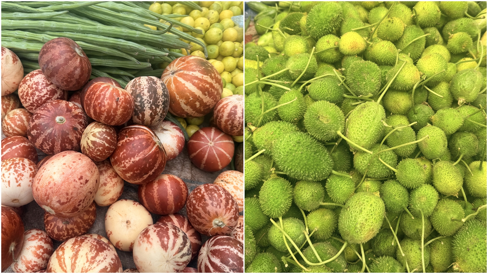 ‘A season on the cart’: Why these Indian summer fruits are suddenly going viral