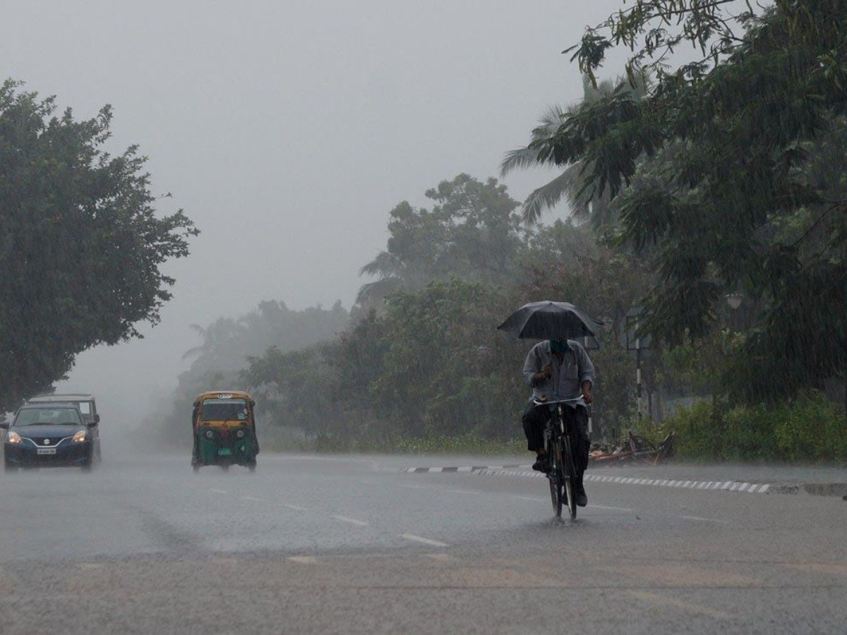 IMD Weather Alert: Heavy Rain Forecast In Madhya Pradesh, Chhattisgarh And Eastern UP; Check Delhi, Bihar Weather Updates