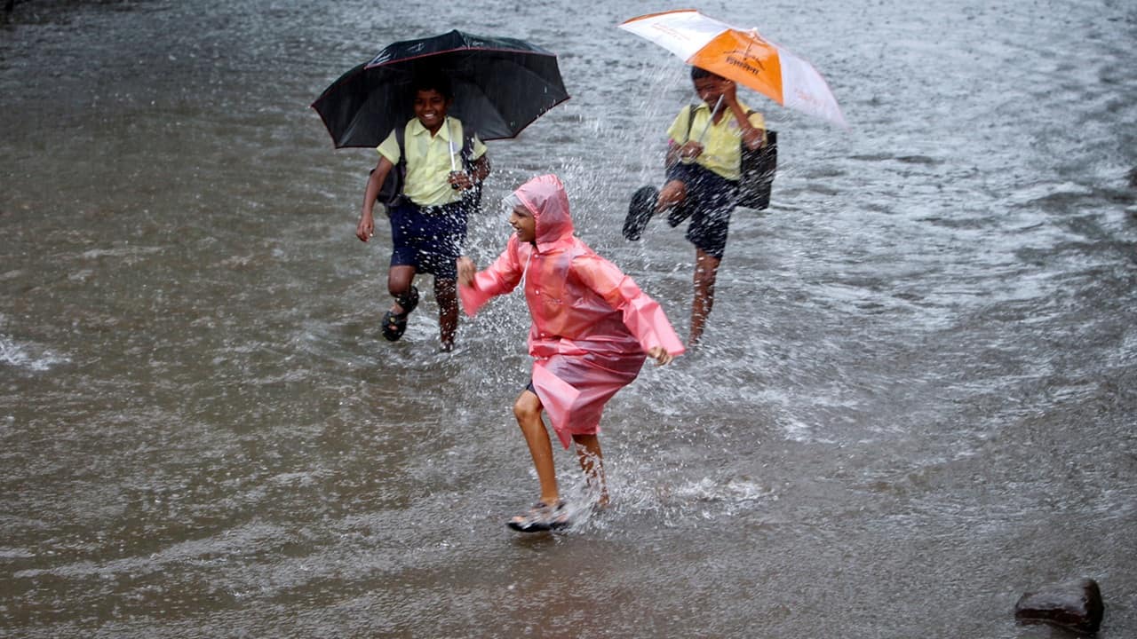 School holiday on July 31: Will schools remain closed? IMD issues heavy rain alert across several states