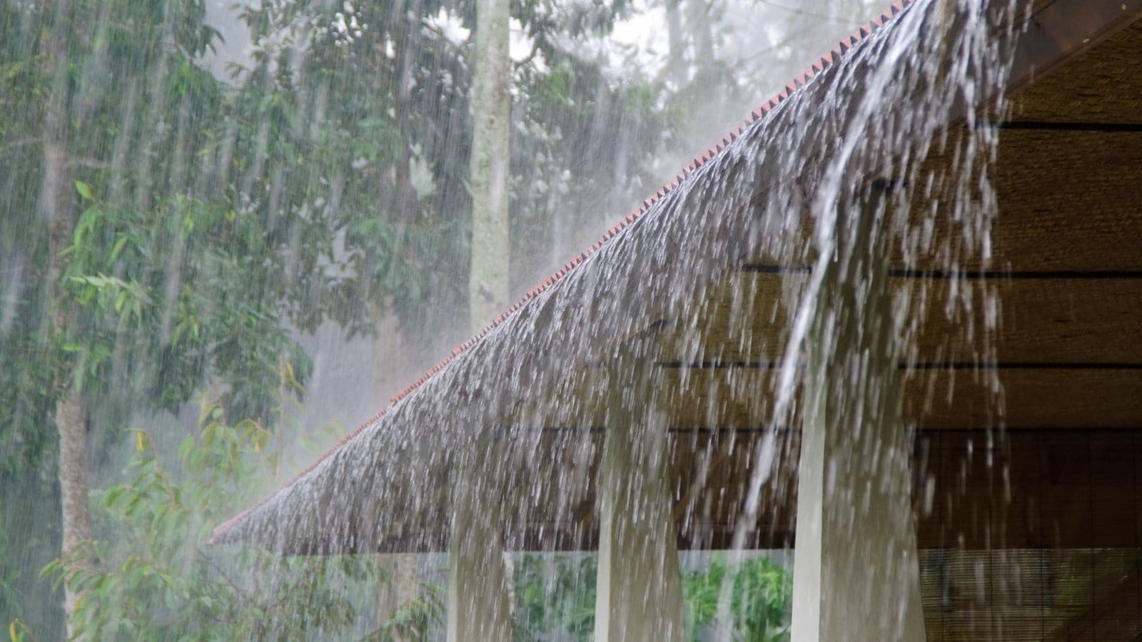 'It's looking a little scary,' Skymet's monsoon forecast
