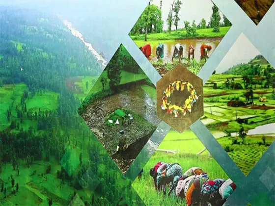 Four Centres of Excellence Established in Gujarat to Advance Natural Farming