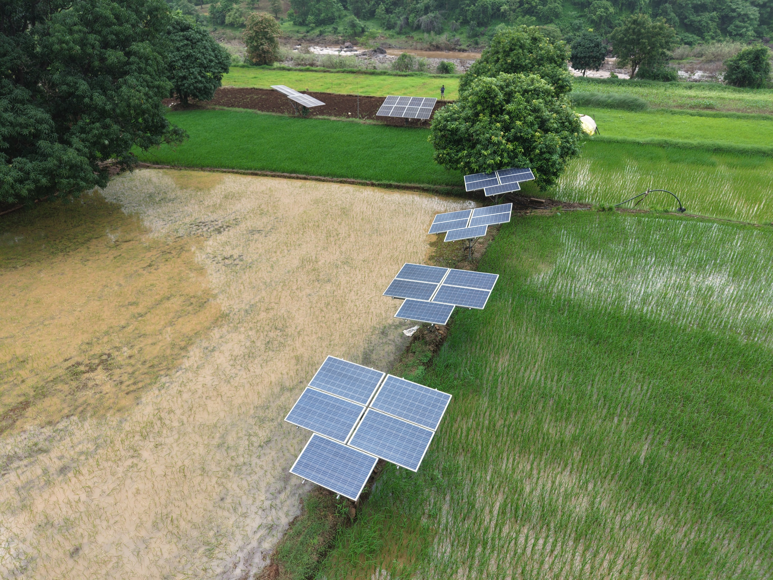 Gujarat: 15,000 solar pumps installed in Narmada, highest under PM-KUSUM