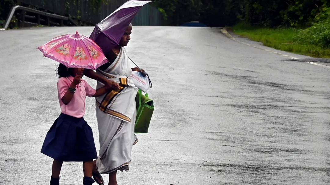 Kerala weather: IMD issues rain alerts; school, college holidays depend on district conditions