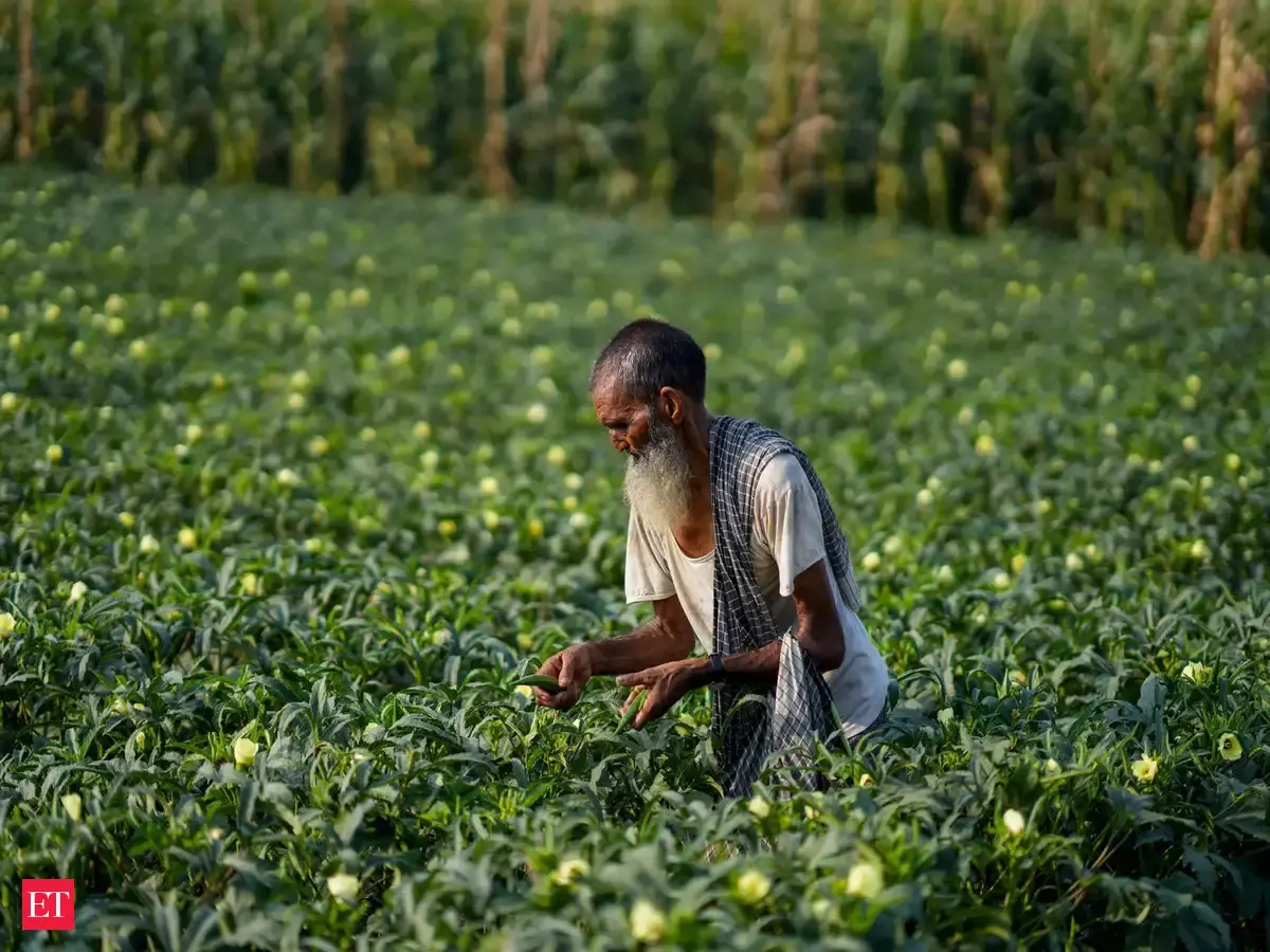 Erratic monsoon pushes farmers towards low-water crops, vegetables